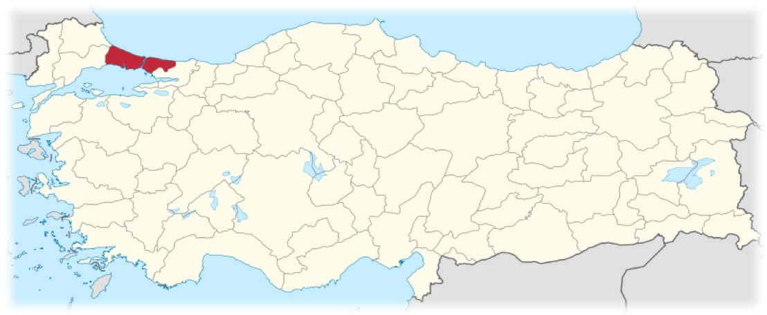 Información General de Estambul